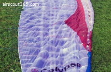 Gin Calypso XS wie neu