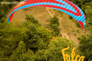 ICARO Falco L  EN-A for sale